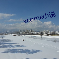 acome小说(說)