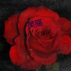 芙殇