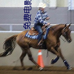 免费电影软(軟)件