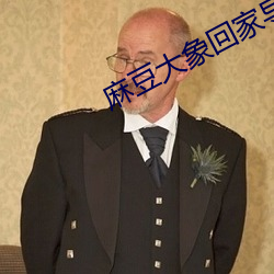 麻豆大象回家導航