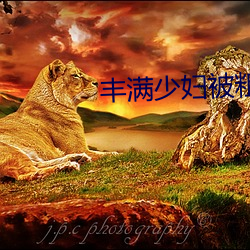 丰满少妇(fù)被(bèi)粗大的猛烈进出视(shì)频