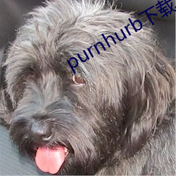 purnhurb下載地址