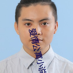 爱(ài)情公寓小说