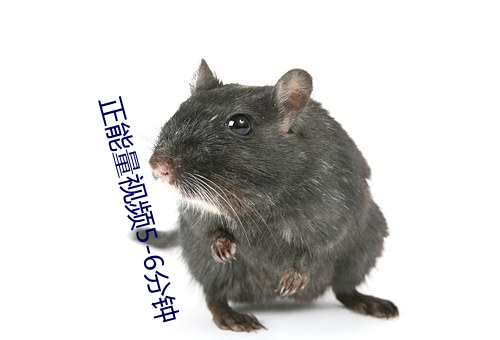 正能量视频5-6分钟