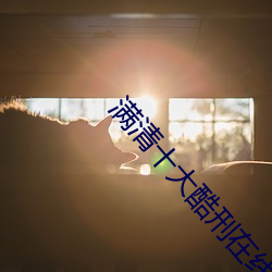 满清十大(dà)酷刑在线观看深(shēn)爱