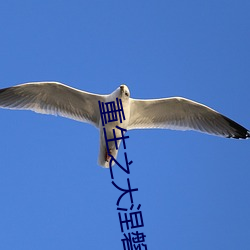 重生(生)之大(大)涅(涅)磐