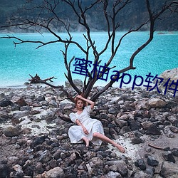 蜜柚app软件下载安装