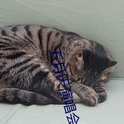 五月天演唱會偶遇李現
