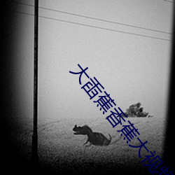 杏鑫娱乐·(中国区)官方网站