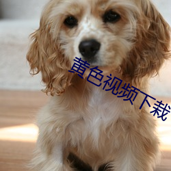 金年会 | 诚信至上金字招牌