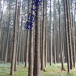 绿(lǜ)巨人晚上(shàng)解放自己