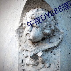 午夜DY888理论