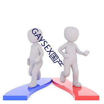 GAYSEX國産