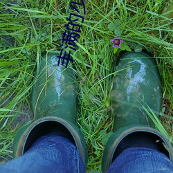 豐滿的少婦愉情HD高清果凍傳媒