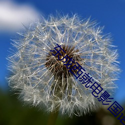东成西就电影国语在线观看 （昧己瞒心）