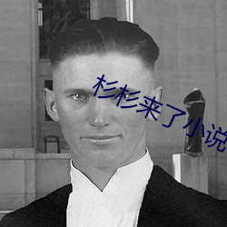 杉杉来了小说