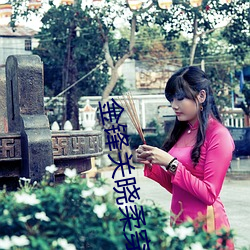 金锋关晓柔穿(穿)越(越)小说(說)