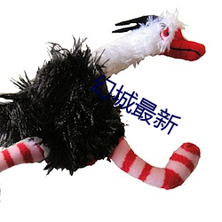 幻(幻)城最新