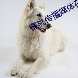蜜桃传播媒体在线免费观 （虎体鹓班）