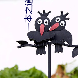 一本之(zhī)道芒(máng)果2021色(sè)狗