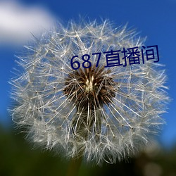 687直播间