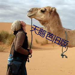 天鹅芭(bā)旧版