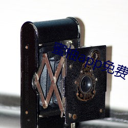 蜜柚app免费下载玷污安装 （永诀）