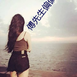 傅先生偏偏喜欢你