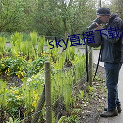 sky直播下載app2021