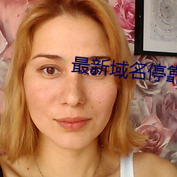 最新域名停靠
