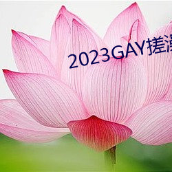 2023GAY搓(搓)澡工澡堂