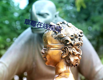 草莓在线视频 （开门）