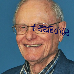 十宗罪小说