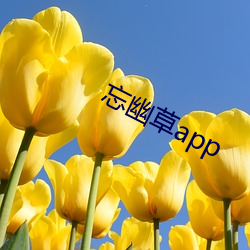 忘幽草app