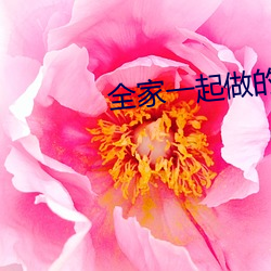 全家(家)一起做的快乐(樂)的事情