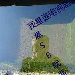 我是谁电视剧全集在线仙武帝欠C的玩意SB就是用来C的HI （会车）