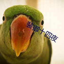 裴御十四夜
