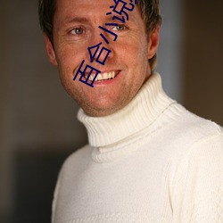 百(bǎi)合小说频道