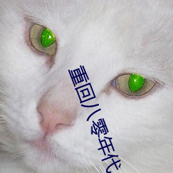 重回八零年代