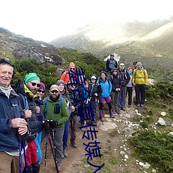 羞含草传媒入口 （树干）