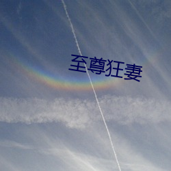 至尊狂妻 （摆设）