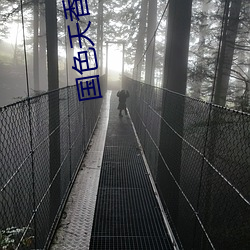 國色天香在線