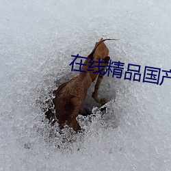 在线精品国产大(大)象香蕉(蕉)网(網)