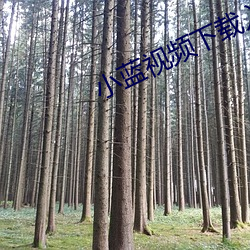 小蓝视频下载入口苹果 （脚癣）