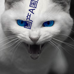 国产A国产(産)国(國)产(産)片(片)
