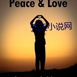 天天小说网