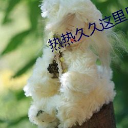 热热久久这里只有精品 （回涨）