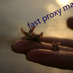 fast proxy master