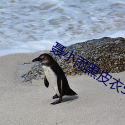 聂小雨黑皮衣5分多钟视频