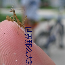 世界那(那)么大(大)我想去(去)看(看)看品牌(牌)广(廣)告